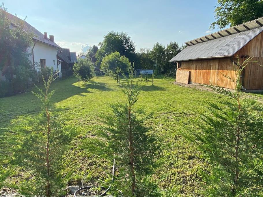 Mura House Vişeu de Sus Exterior foto
